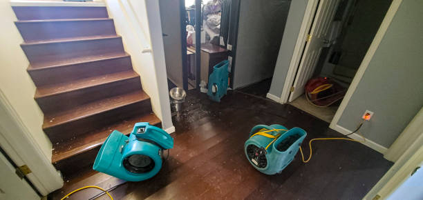 Best Water damage contractors near me  in North Eastham, MA