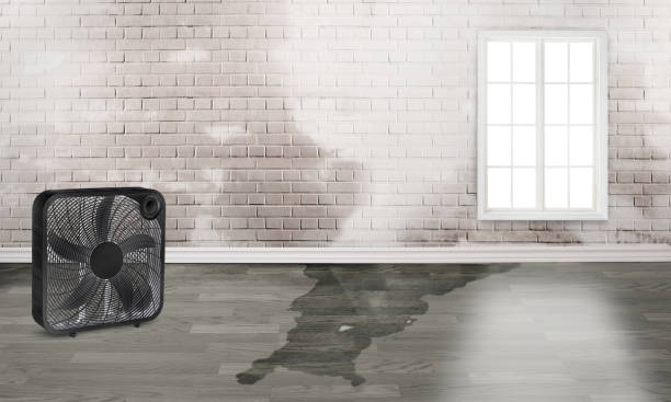 Best Local water damage restoration  in North Eastham, MA