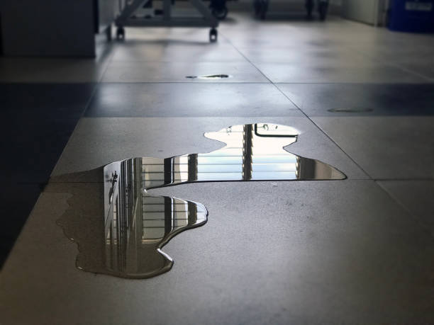 Best 24-hour water damage restoration  in North Eastham, MA