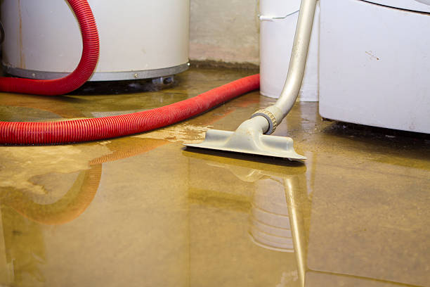 Best Basement water damage restoration  in North Eastham, MA