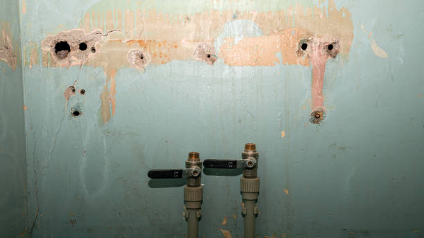 Best Water damage restoration near me  in North Eastham, MA