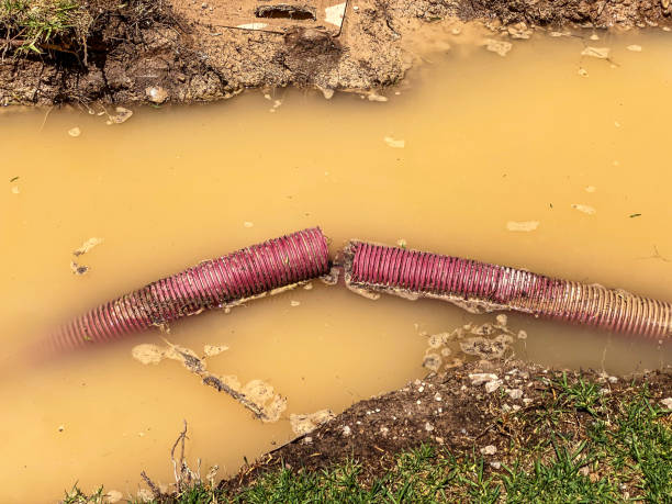Best Water damage restoration near me  in North Eastham, MA