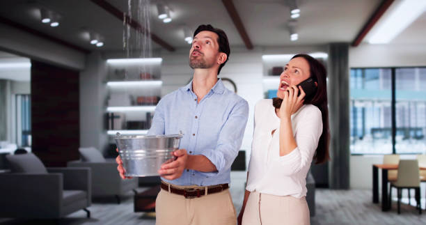 Best Professional water damage repair  in North Eastham, MA